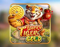 Lucky Tiger Gold