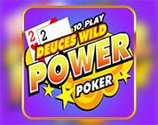 Deuces Wild - 10 Play Power Poker