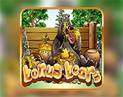 Bonus Bears