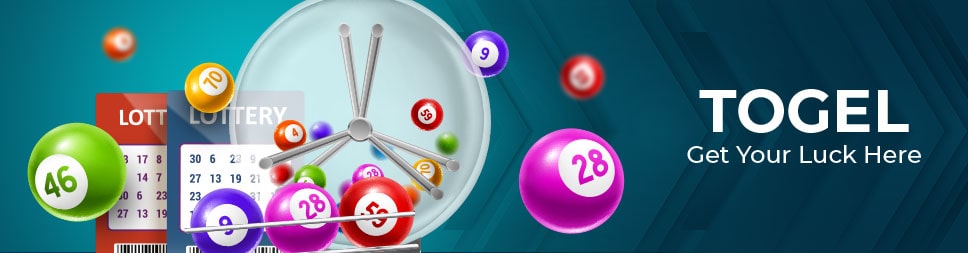 livedealer